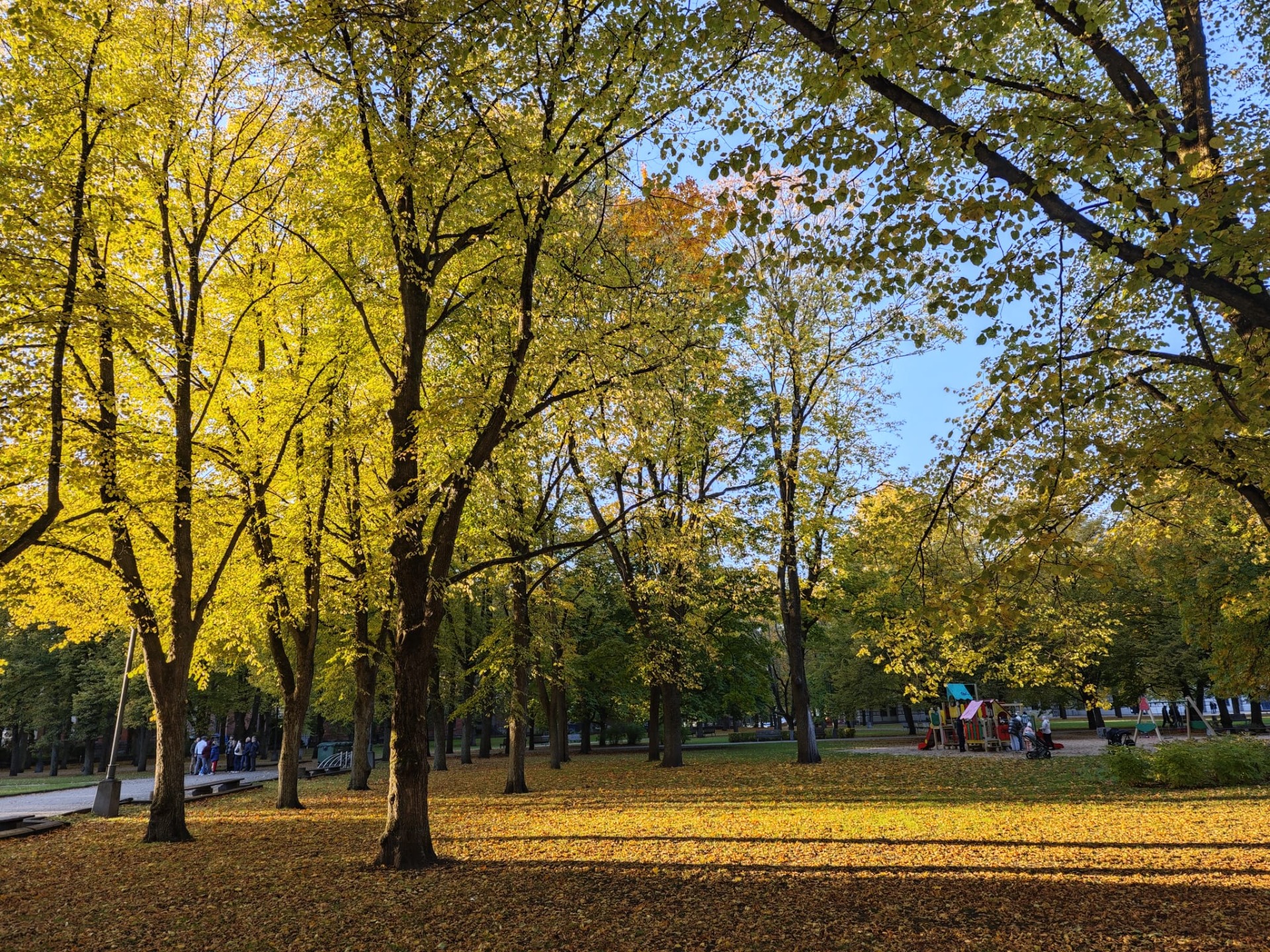Het knusse parkje naast de kathedraal!