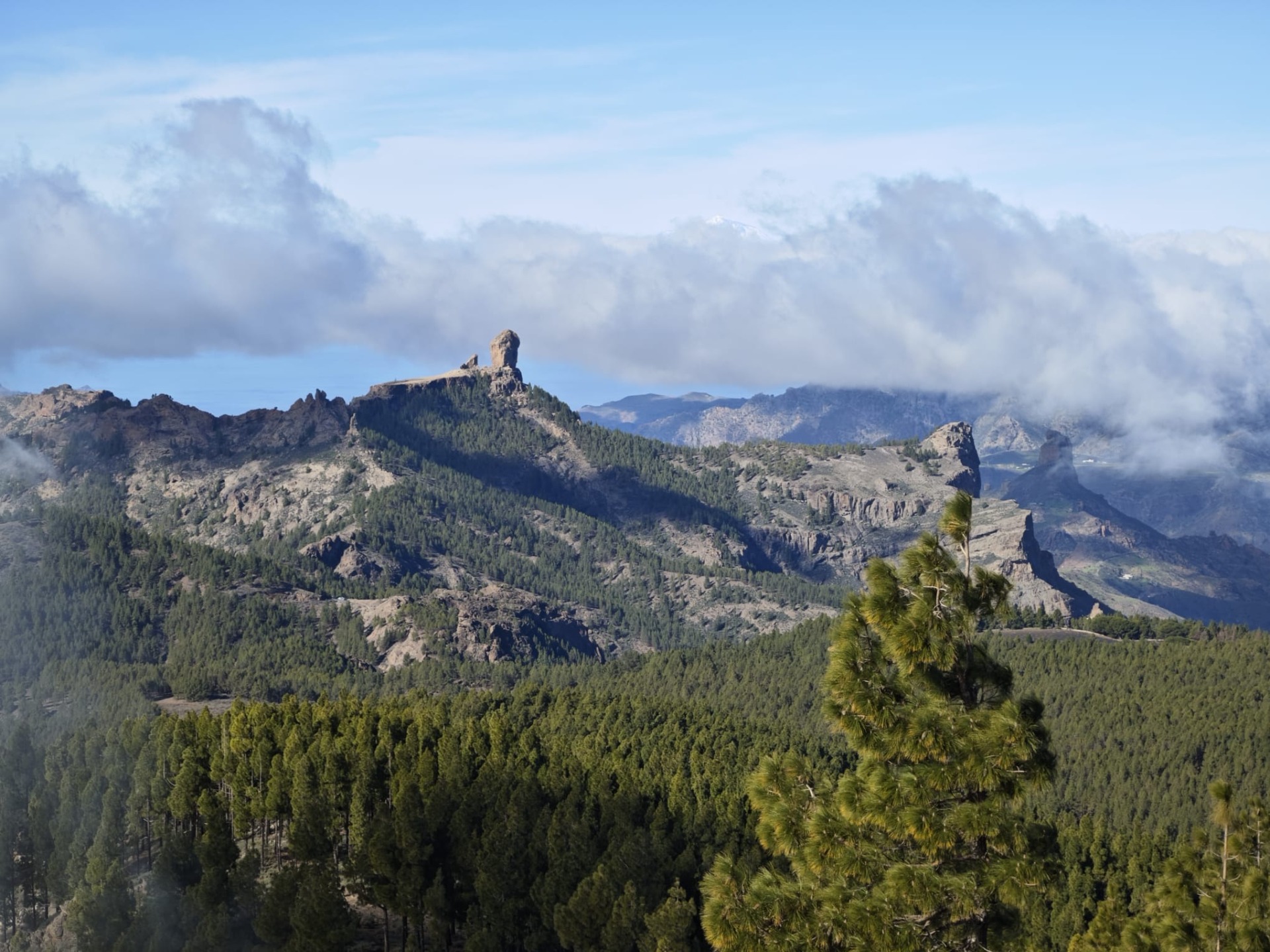 Het uitzicht vanaf de Pico de las Nieves!