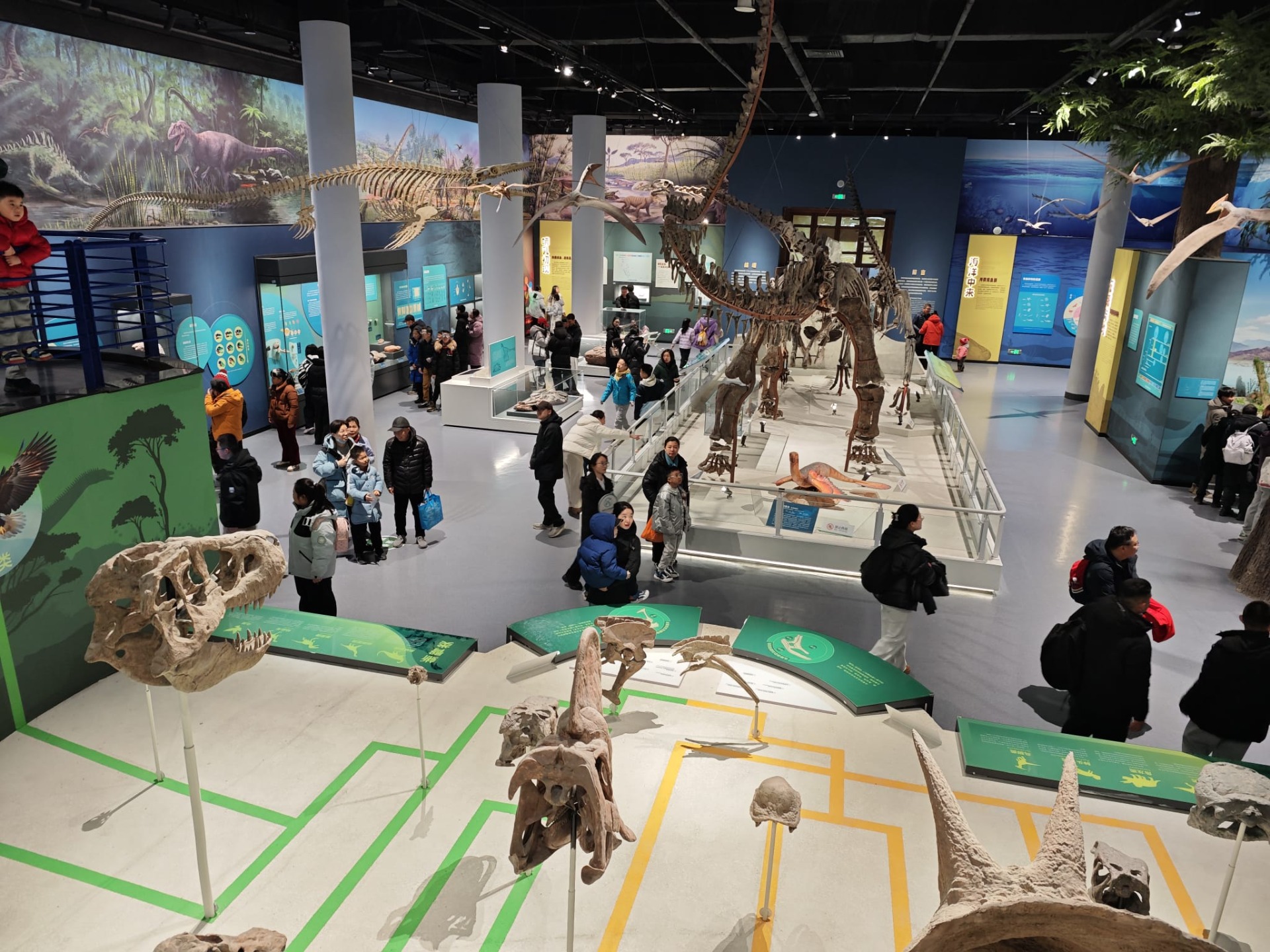 De grote tentoonstelling over de gewervelde dieren!