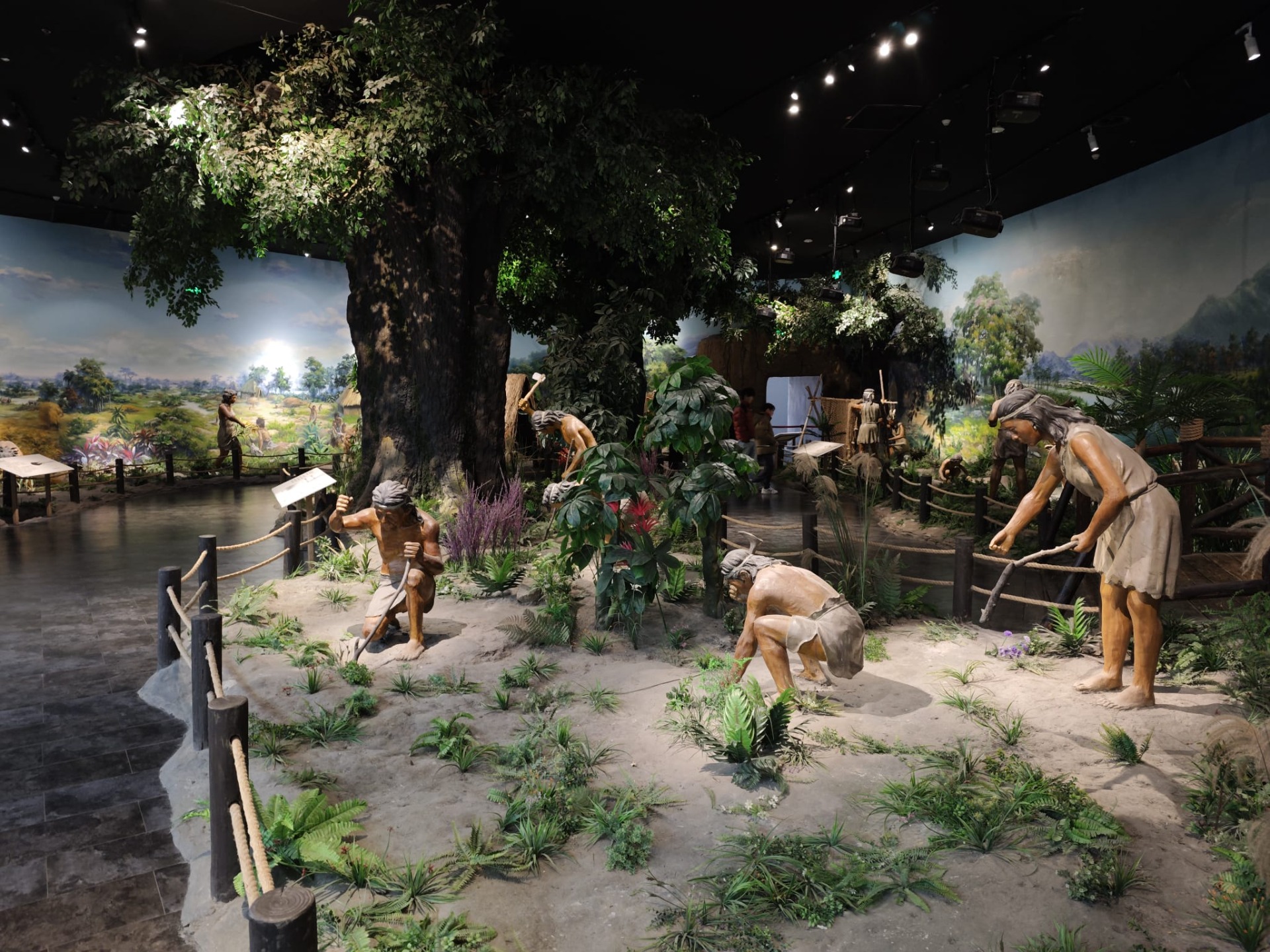De tentoonstelling over de agricultuur van de Dongyi-mensen!