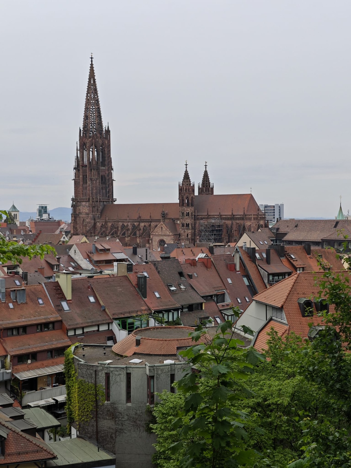 Het uitzicht vanaf het Kanonenplatz!