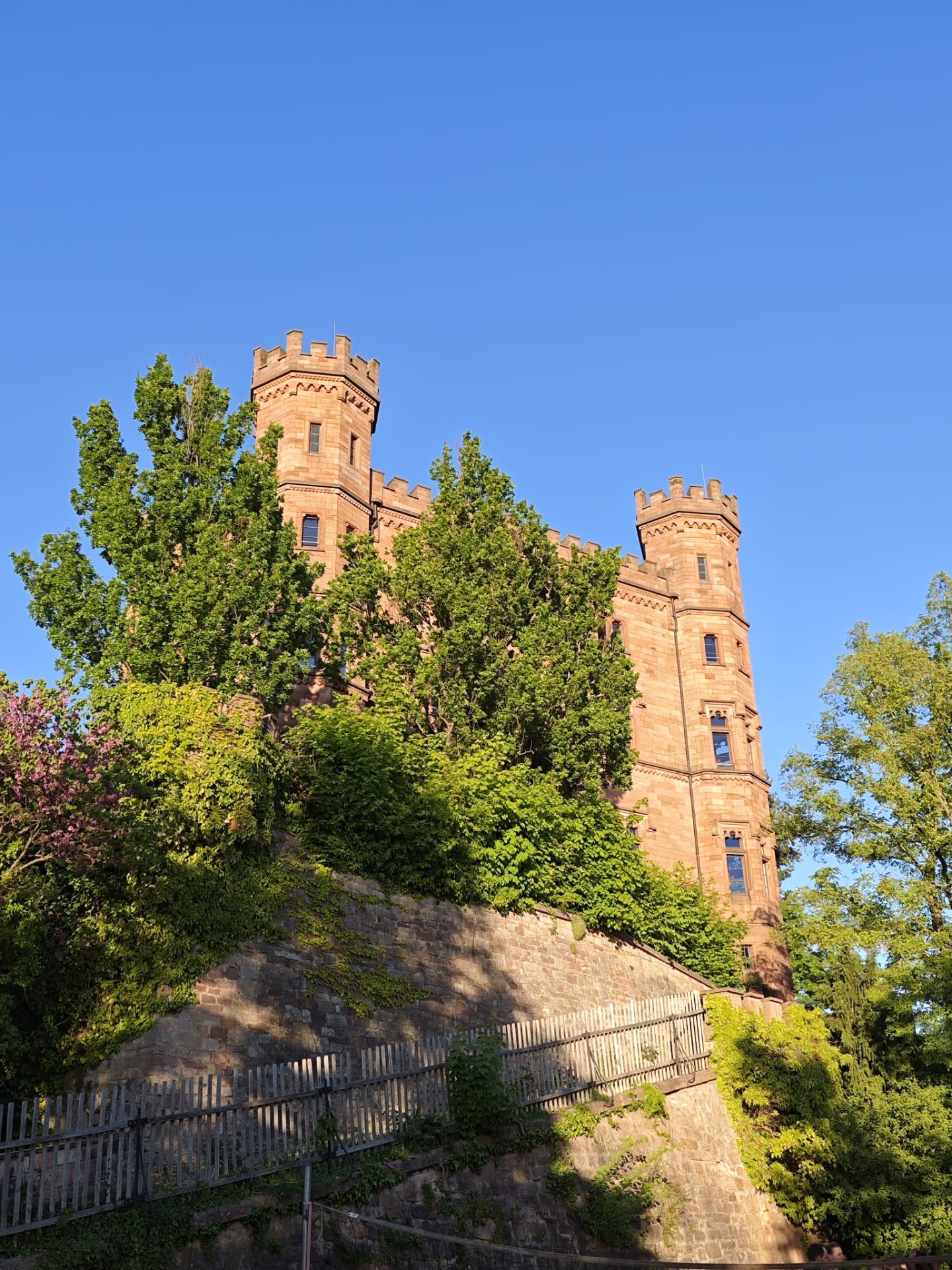 Schloss Ortenberg