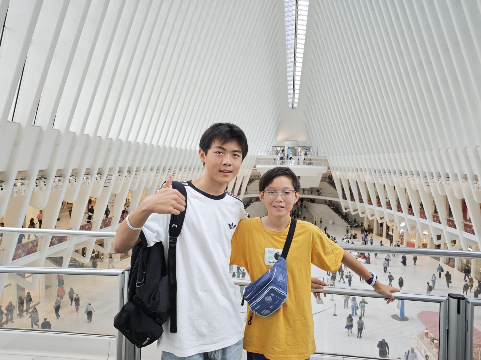 De ribben van The Oculus!