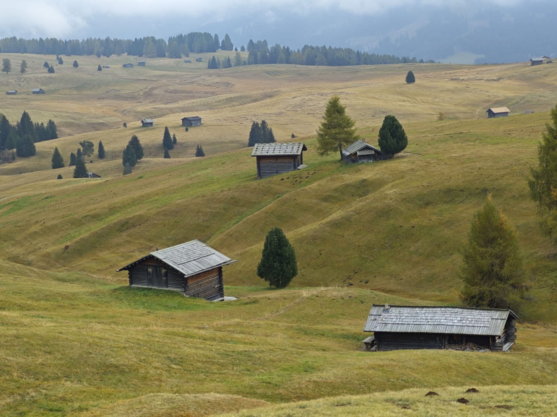Het uitzicht over de alpenweiden!